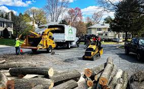 Best Sod Installation  in Broadway, VA